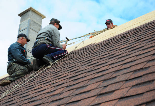 Best Roof Leak Repair  in Shenandoah, IA